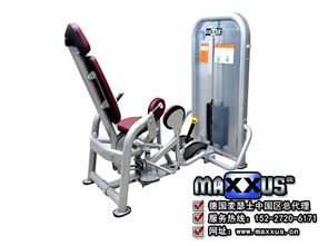 張掖力量健身器攜手麥瑟士功能機，誠邀經銷商共拓健身器材市場